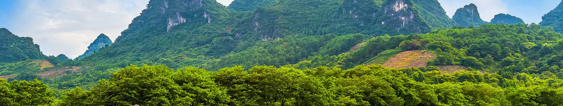 Yenilenebilir Enerji banner